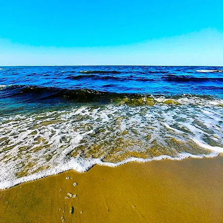 Na Wyspie Gdansk