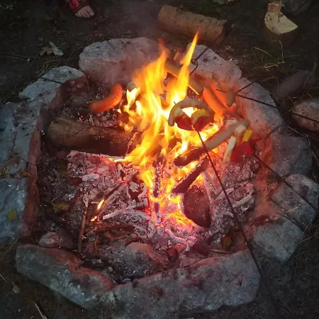 Na Wyspie Gdaňsk